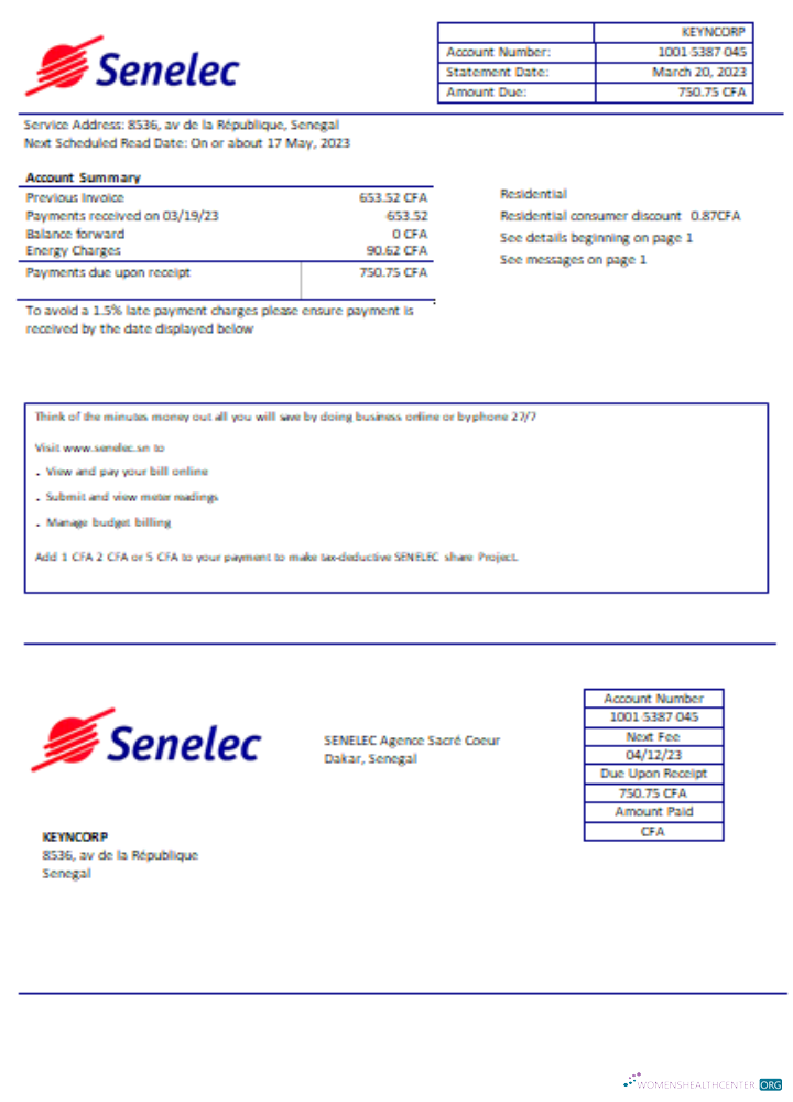 Download Senelec Agence Sacré Coeur Company electricity utility business bill, SCR Photoshop template